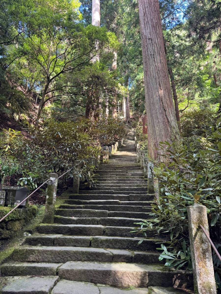 女人高野と呼ばれる室生寺、平安初期から変わらぬ光景が見れた登山