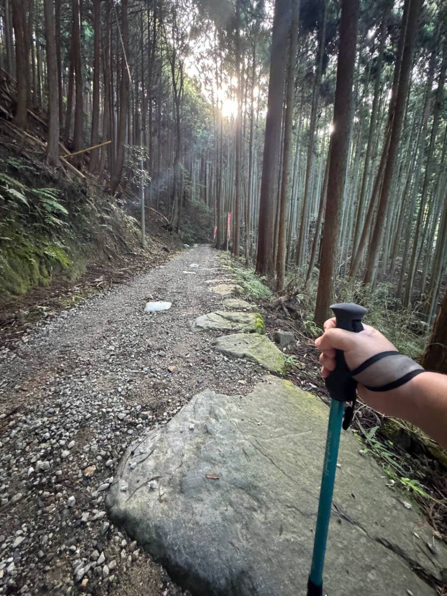 【登山日記】音羽三山を縦走、歴史深い山を気軽に縦走できるコース