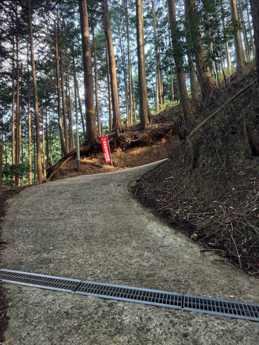 【登山日記】音羽三山を縦走、歴史深い山を気軽に縦走できるコース