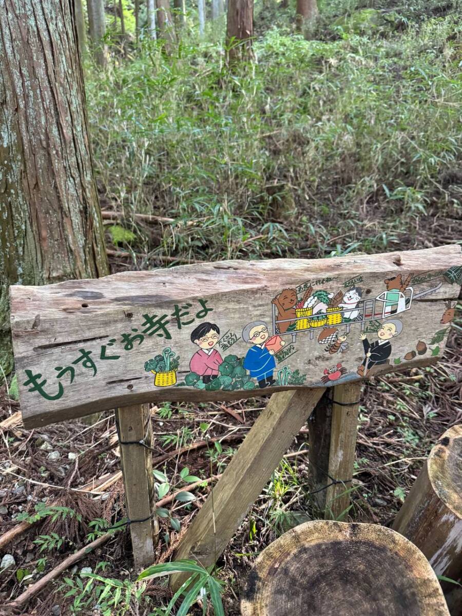 【登山日記】音羽三山を縦走、歴史深い山を気軽に縦走できるコース