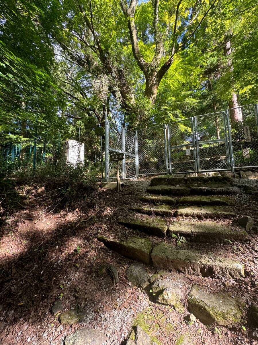 【登山日記】音羽三山を縦走、歴史深い山を気軽に縦走できるコース