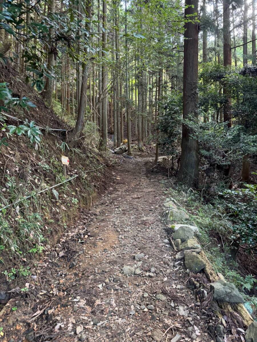 【登山日記】音羽三山を縦走、歴史深い山を気軽に縦走できるコース