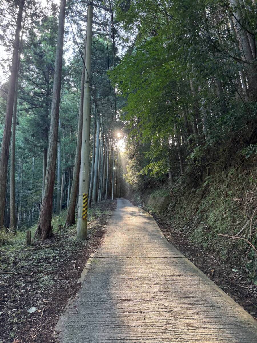 【登山日記】音羽三山を縦走、歴史深い山を気軽に縦走できるコース