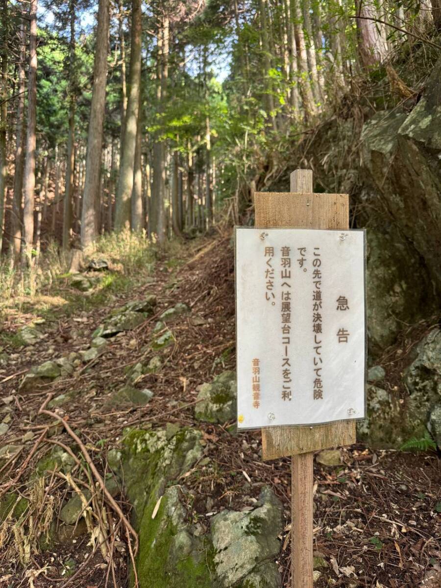 【登山日記】音羽三山を縦走、歴史深い山を気軽に縦走できるコース