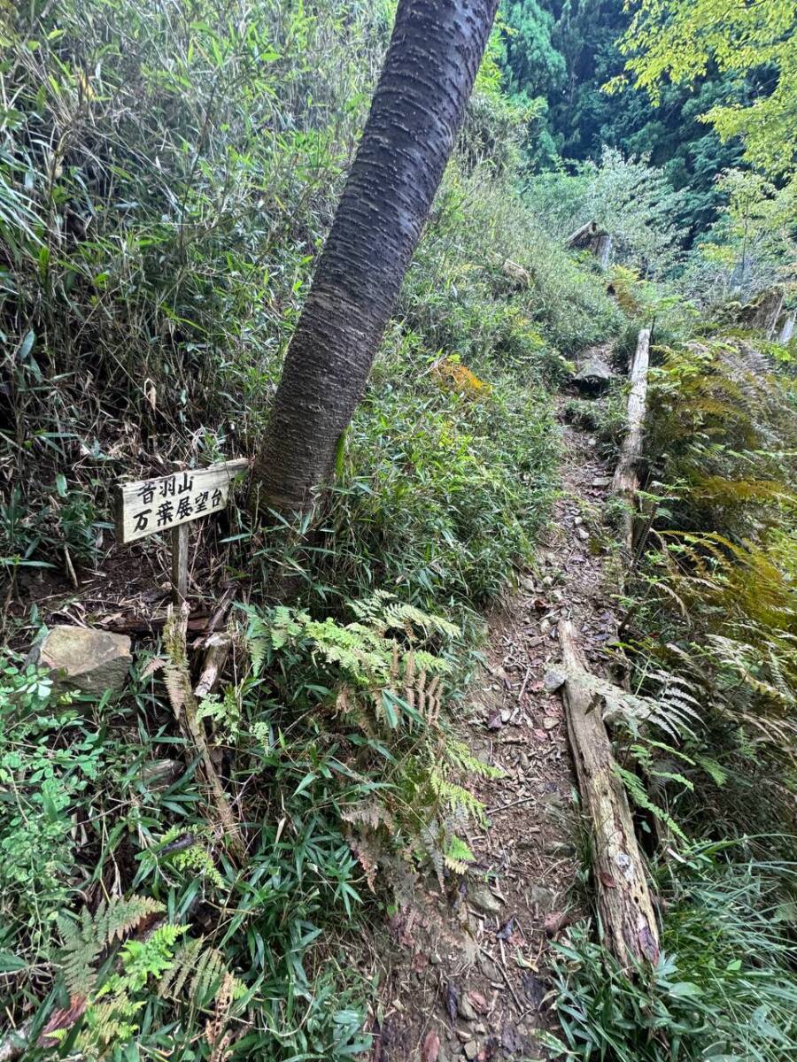 【登山日記】音羽三山を縦走、歴史深い山を気軽に縦走できるコース