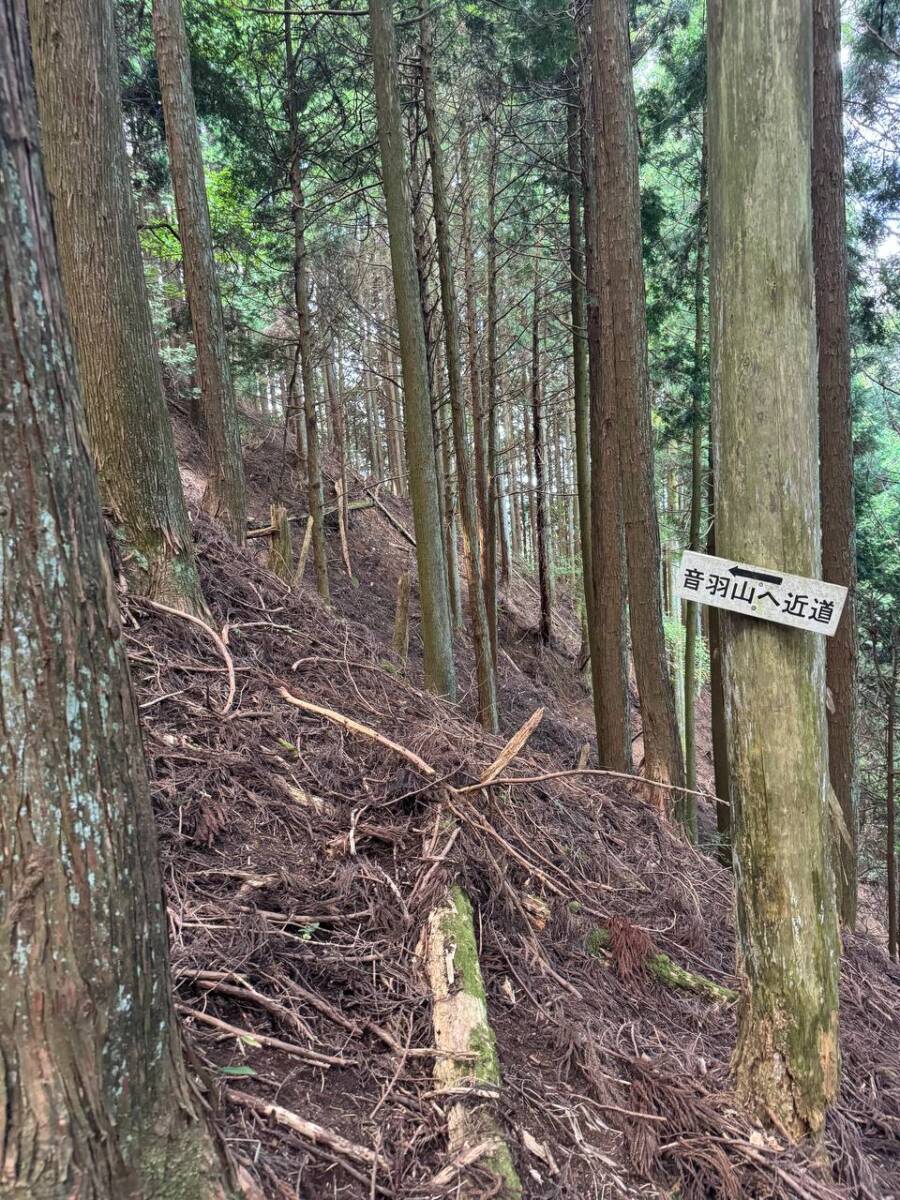 【登山日記】音羽三山を縦走、歴史深い山を気軽に縦走できるコース