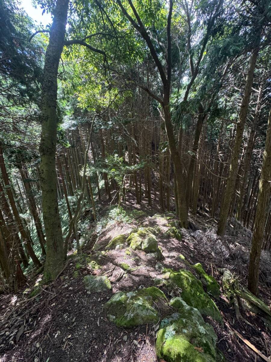 【登山日記】音羽三山を縦走、歴史深い山を気軽に縦走できるコース