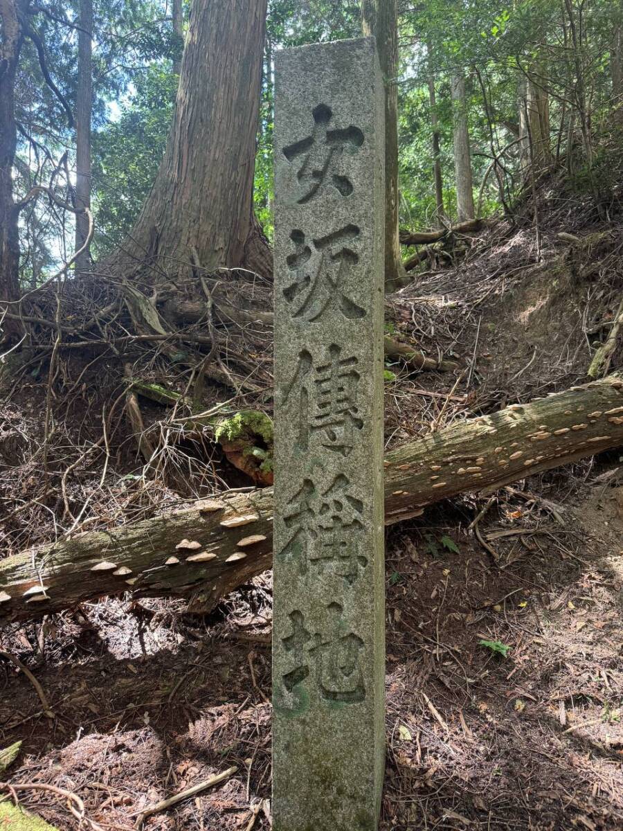 【登山日記】音羽三山を縦走、歴史深い山を気軽に縦走できるコース