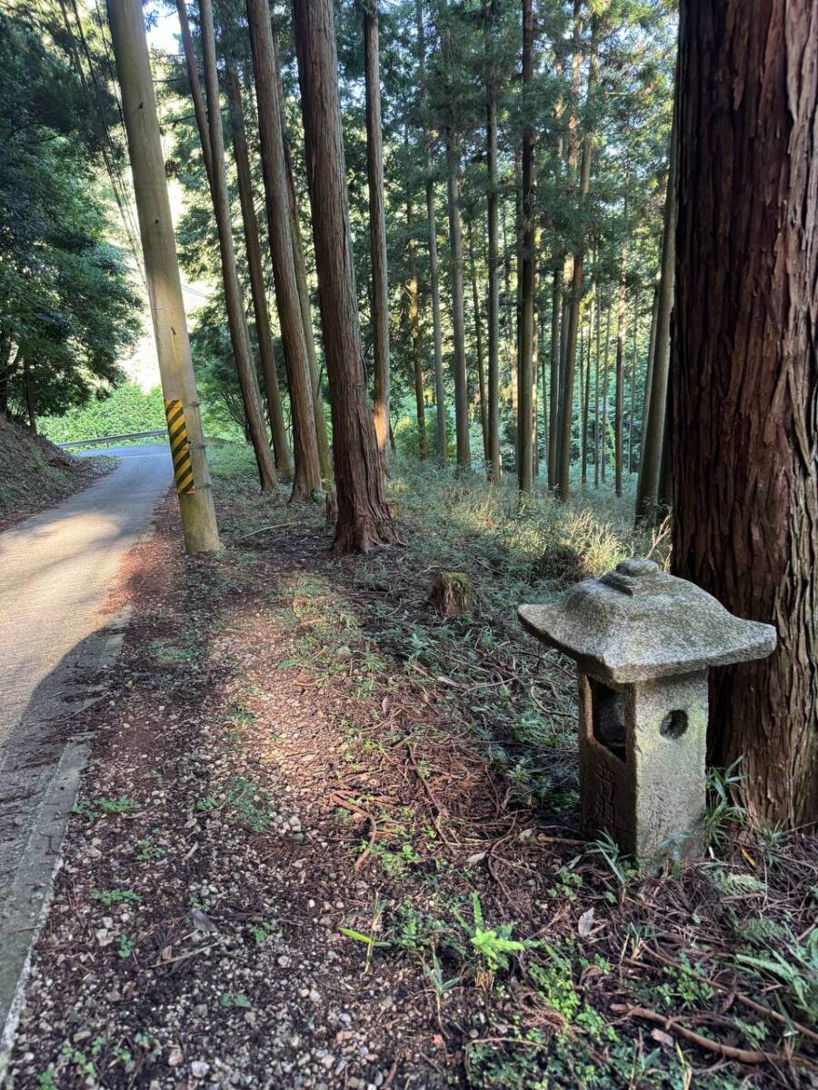 【登山日記】音羽三山を縦走、歴史深い山を気軽に縦走できるコース