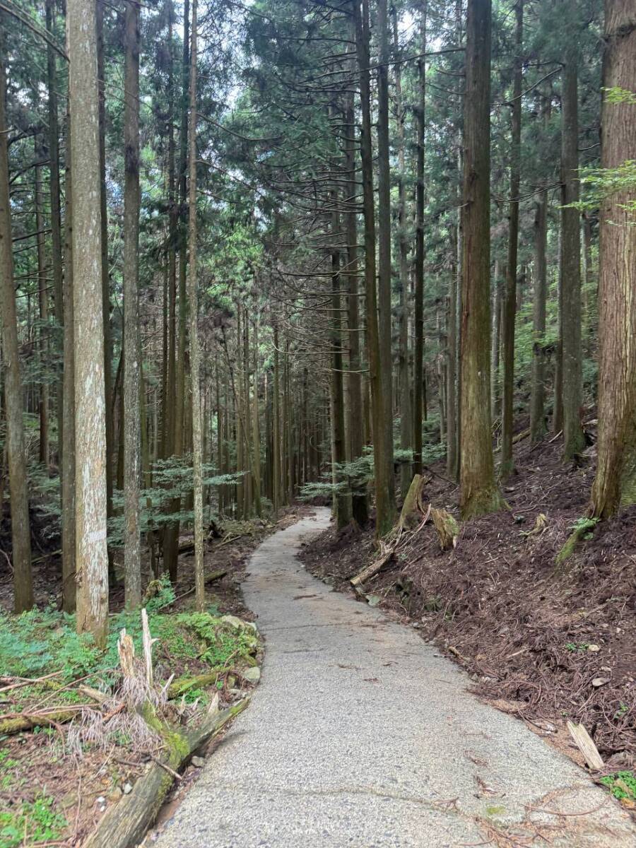 【登山日記】音羽三山を縦走、歴史深い山を気軽に縦走できるコース