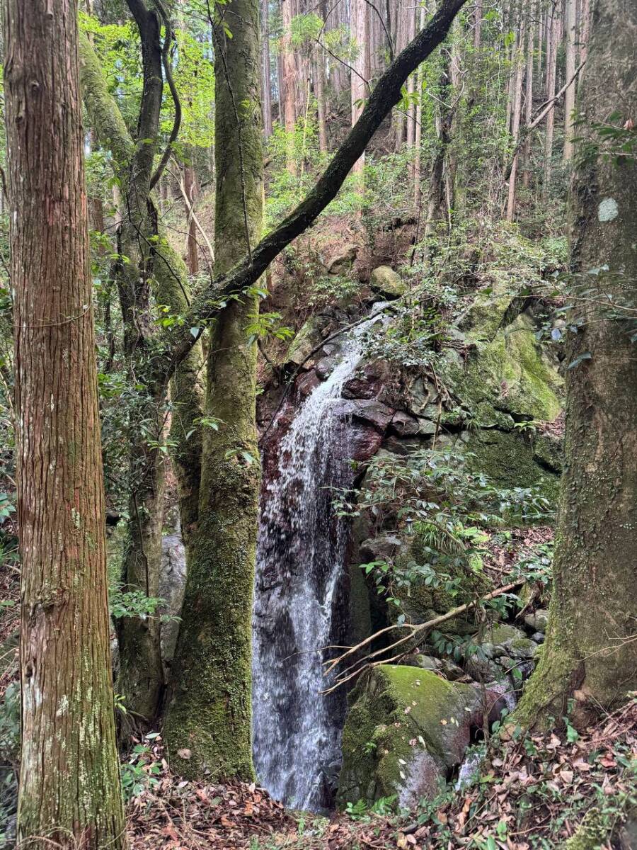 【登山日記】音羽三山を縦走、歴史深い山を気軽に縦走できるコース