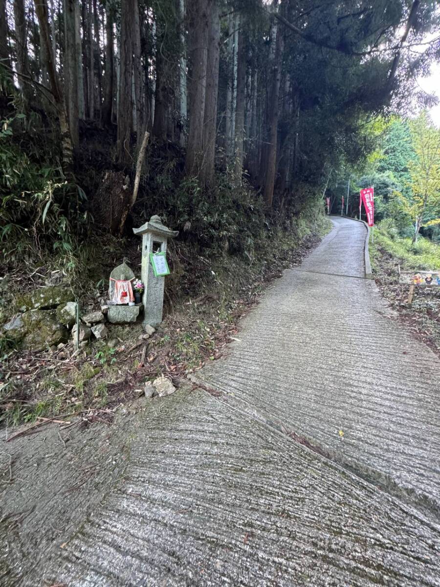 【登山日記】音羽三山を縦走、歴史深い山を気軽に縦走できるコース