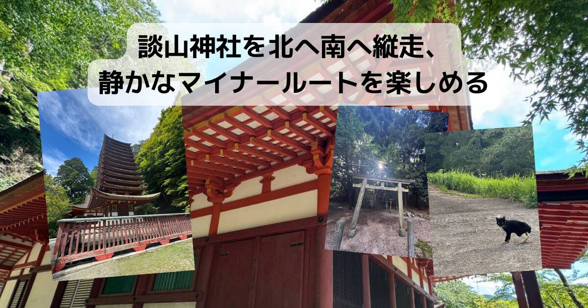 【登山活動】談山神社を北へ南へ縦走、静かなマイナールートを楽しめる