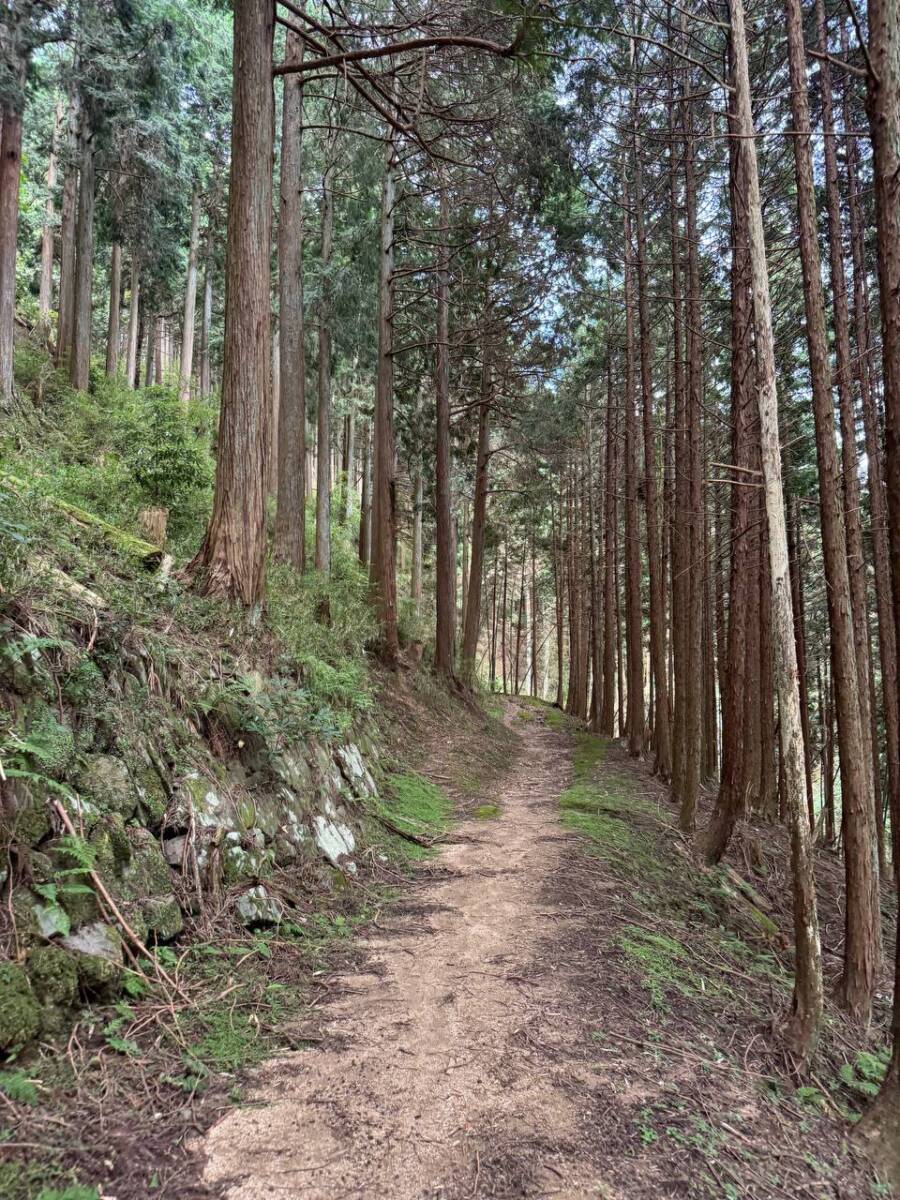 【登山活動】談山神社を北へ南へ縦走、静かなマイナールートを楽しめる