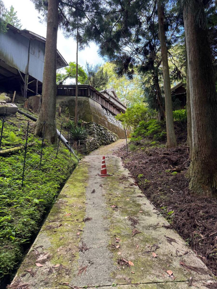 【登山活動】談山神社を北へ南へ縦走、静かなマイナールートを楽しめる