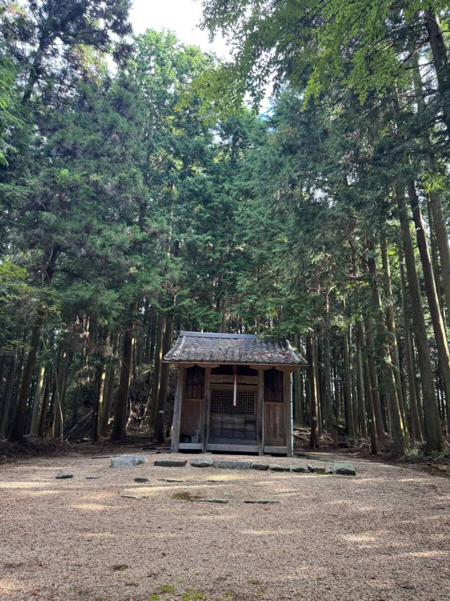 【登山活動】談山神社を北へ南へ縦走、静かなマイナールートを楽しめる