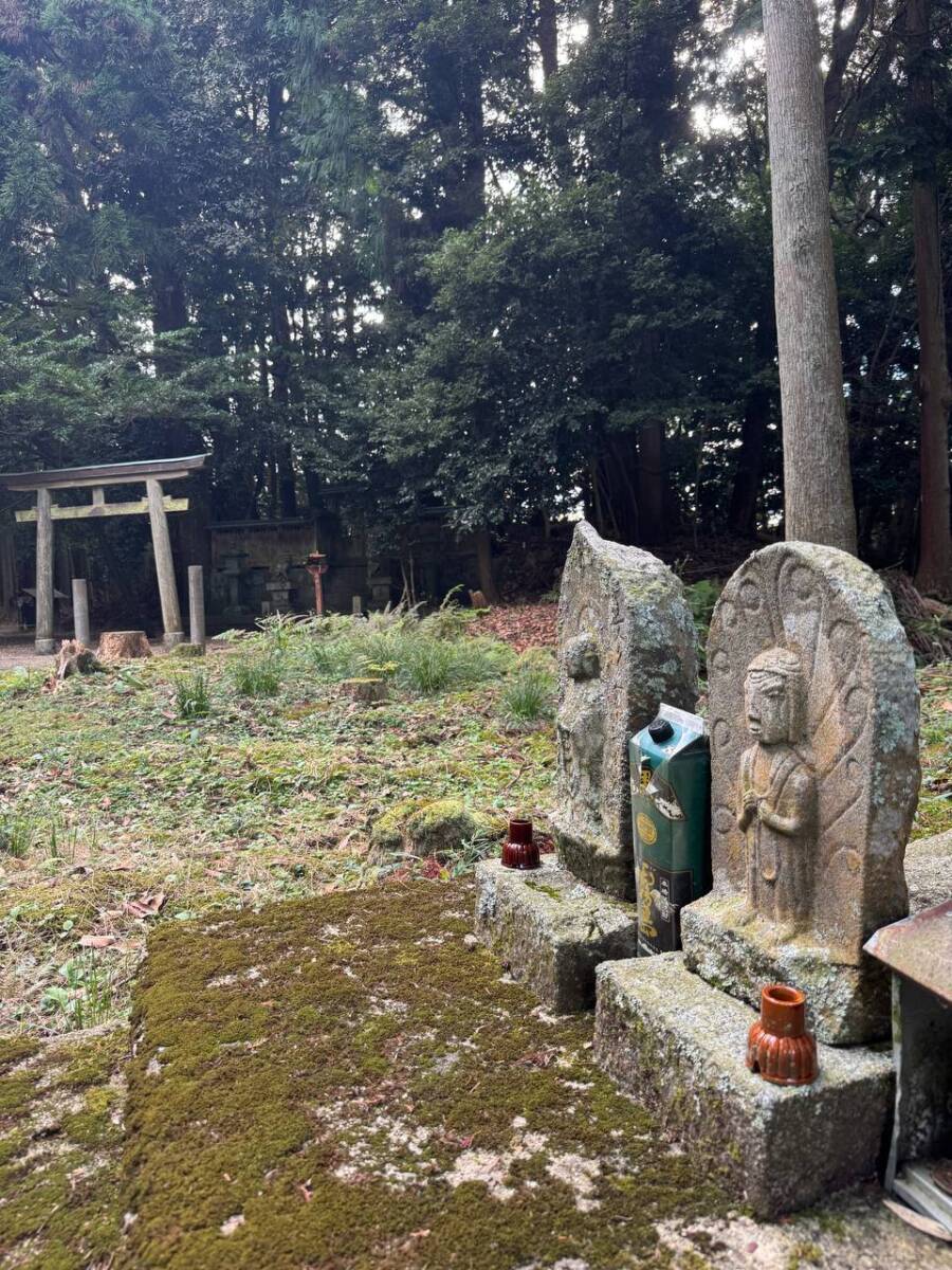 【登山活動】談山神社を北へ南へ縦走、静かなマイナールートを楽しめる