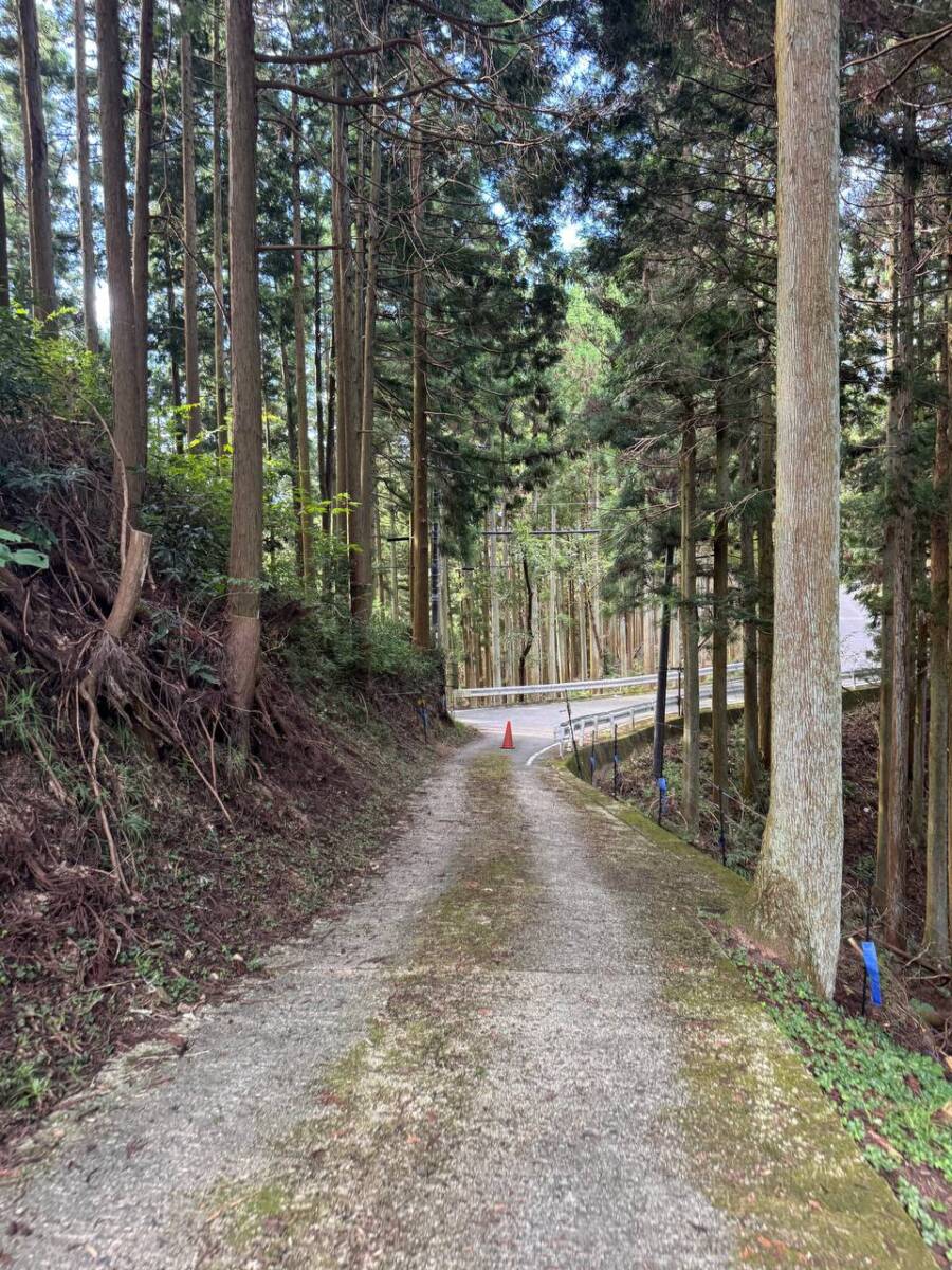 【登山活動】談山神社を北へ南へ縦走、静かなマイナールートを楽しめる