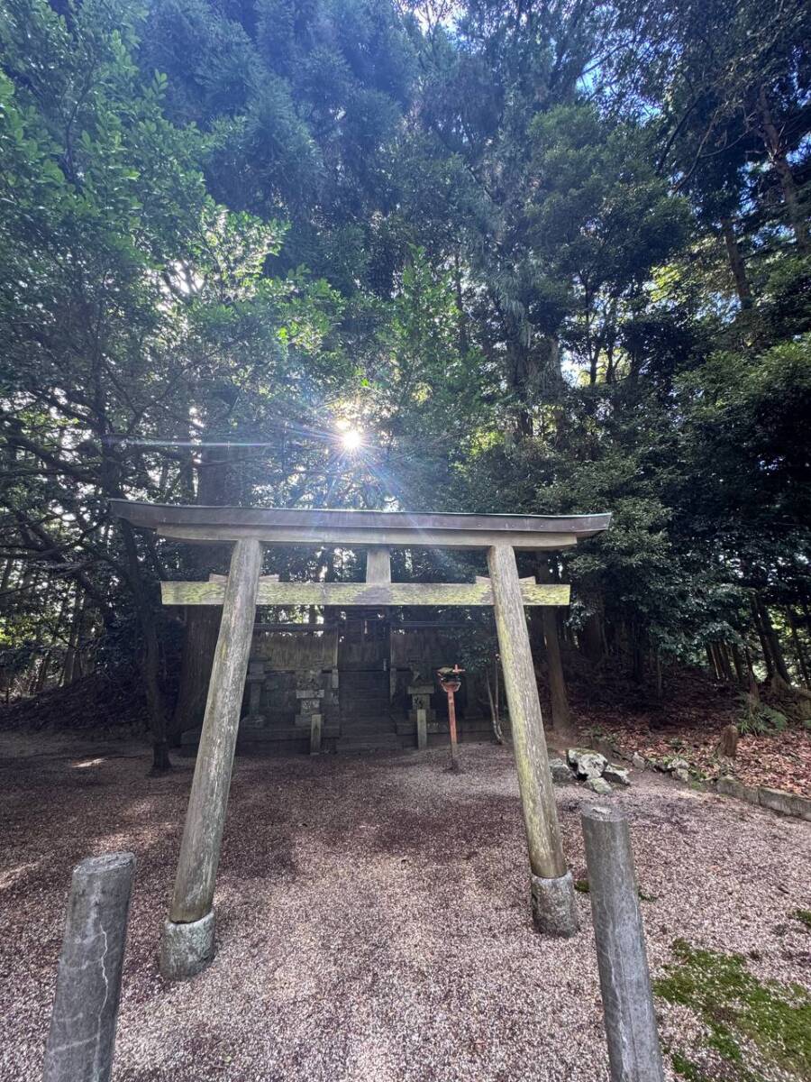 【登山活動】談山神社を北へ南へ縦走、静かなマイナールートを楽しめる