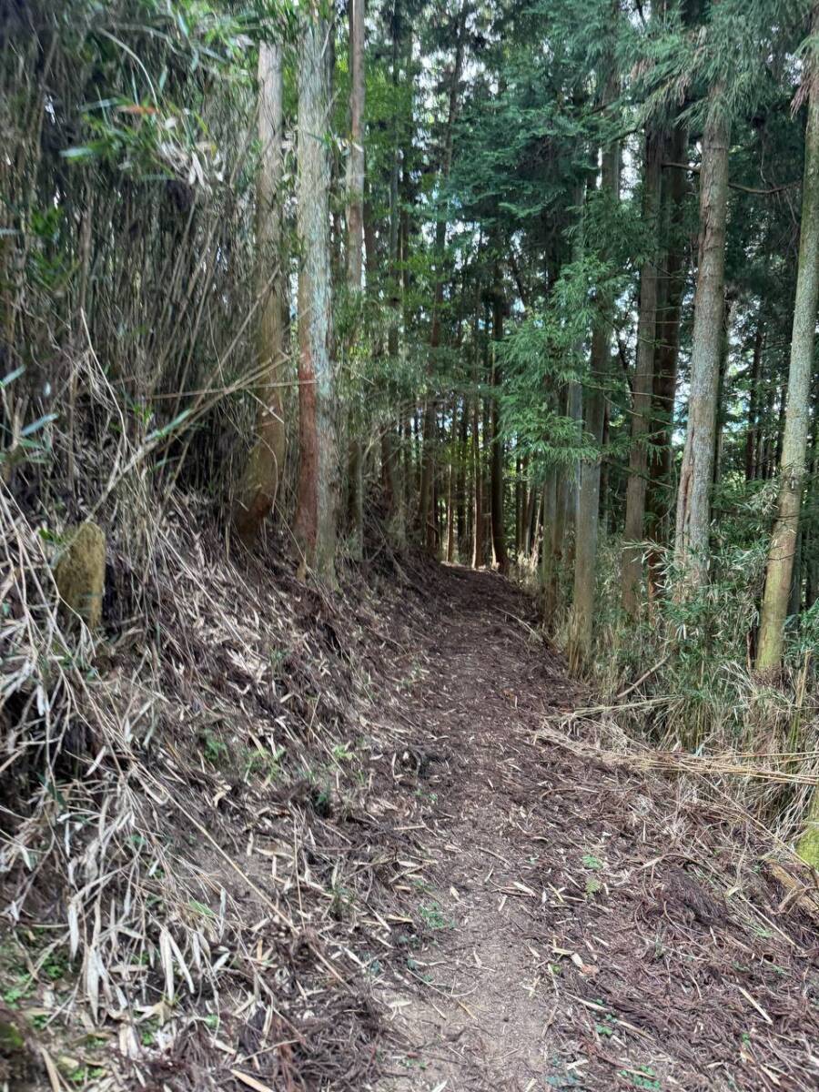 【登山活動】談山神社を北へ南へ縦走、静かなマイナールートを楽しめる