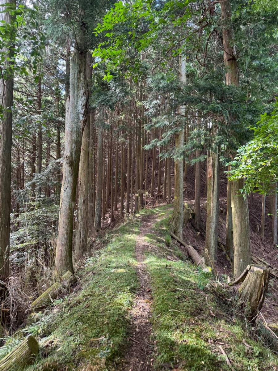 【登山活動】談山神社を北へ南へ縦走、静かなマイナールートを楽しめる