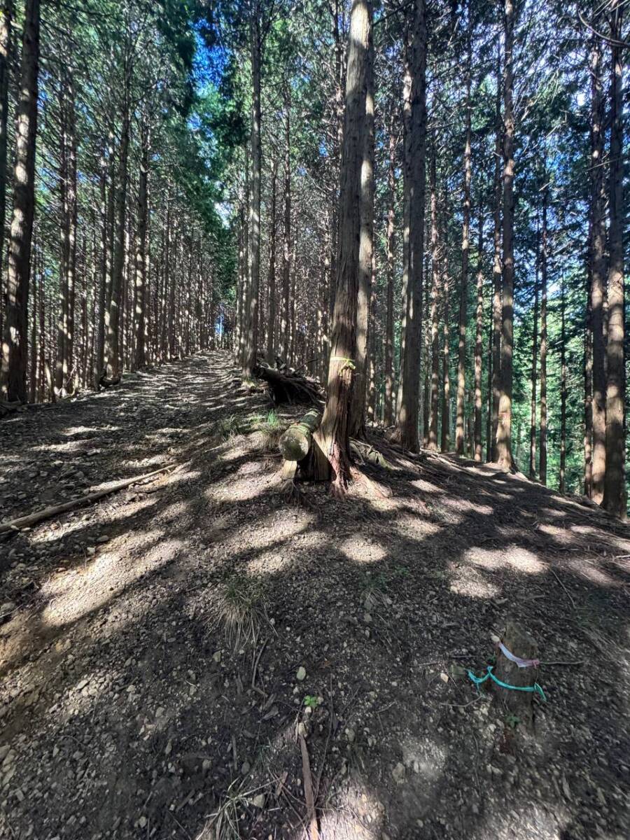 【登山活動】談山神社を北へ南へ縦走、静かなマイナールートを楽しめる