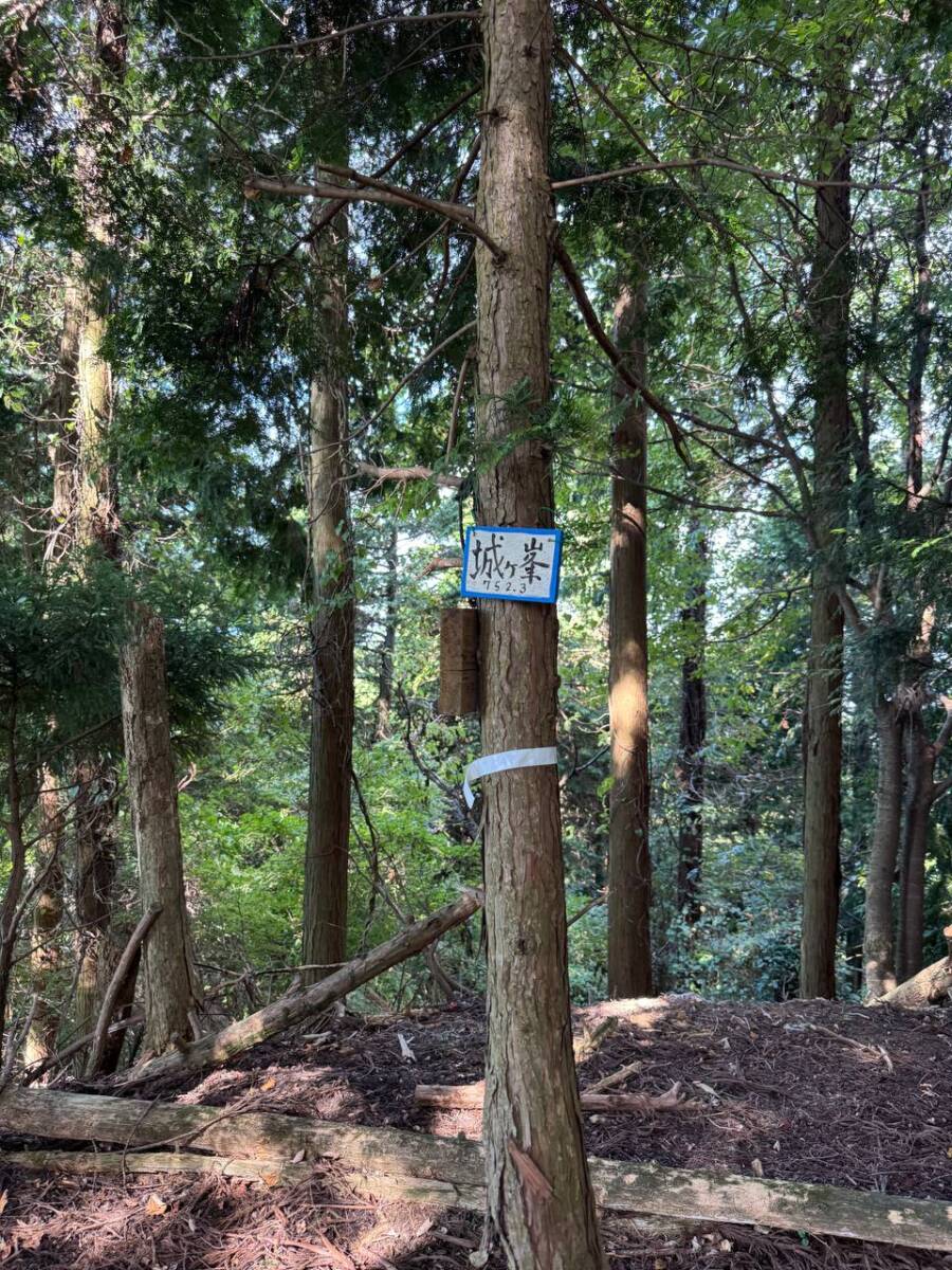 【登山活動】談山神社を北へ南へ縦走、静かなマイナールートを楽しめる