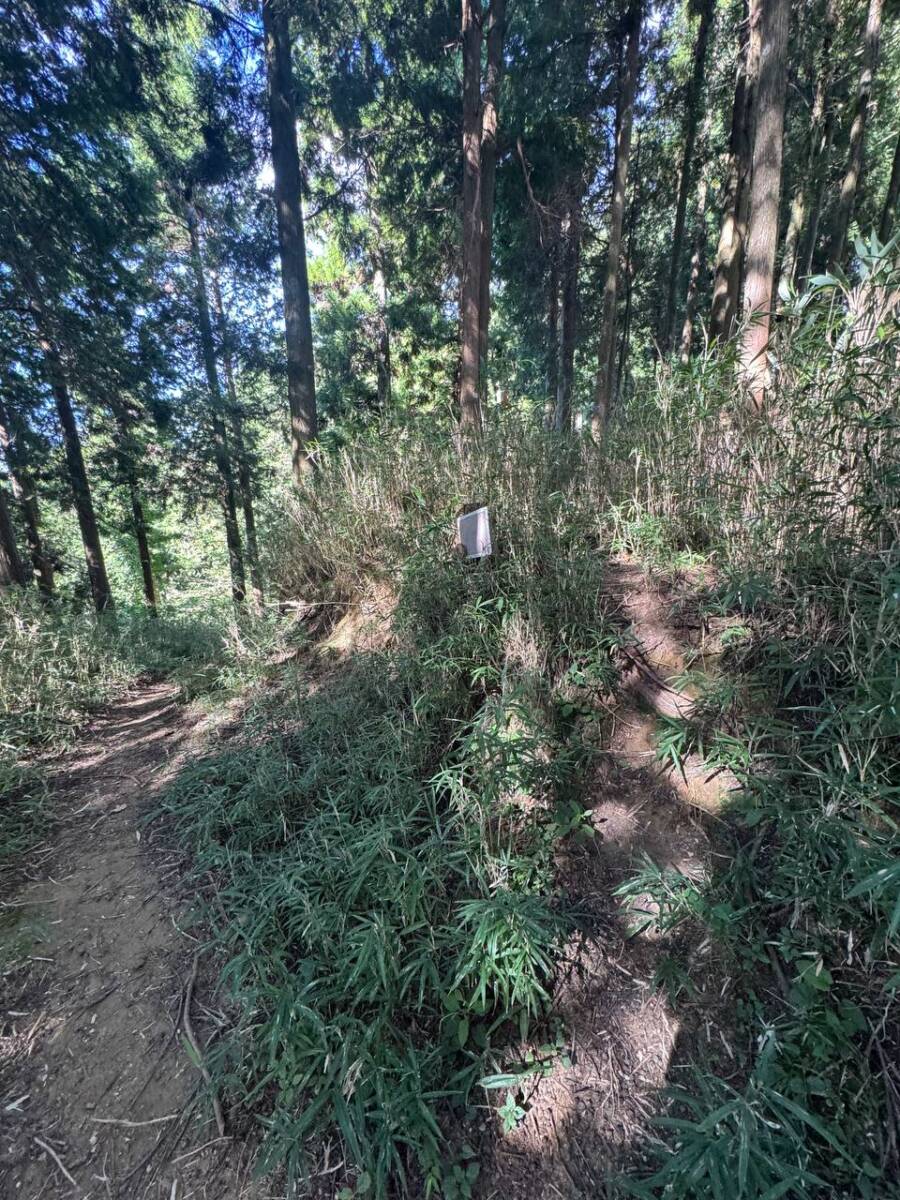 【登山活動】談山神社を北へ南へ縦走、静かなマイナールートを楽しめる