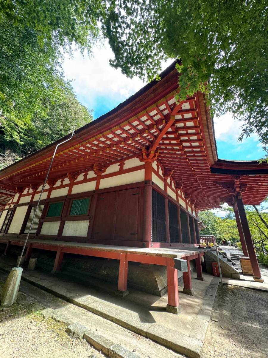 【登山活動】談山神社を北へ南へ縦走、静かなマイナールートを楽しめる