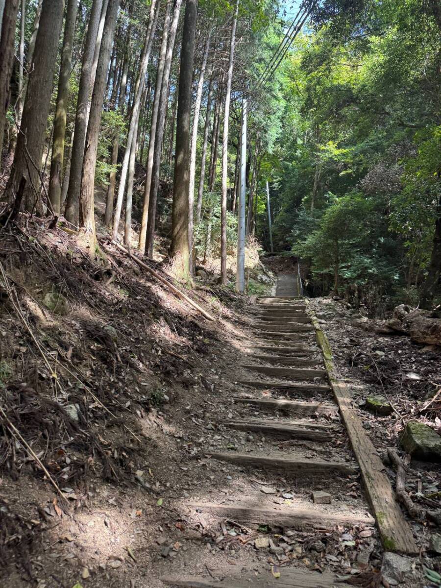 【登山活動】談山神社を北へ南へ縦走、静かなマイナールートを楽しめる