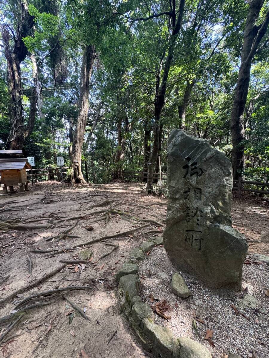 【登山活動】談山神社を北へ南へ縦走、静かなマイナールートを楽しめる