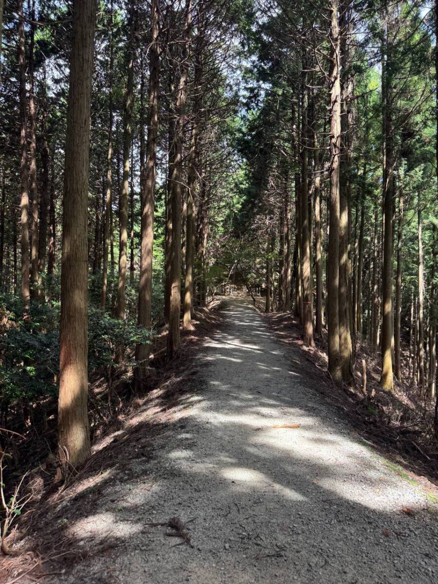 【登山活動】談山神社を北へ南へ縦走、静かなマイナールートを楽しめる