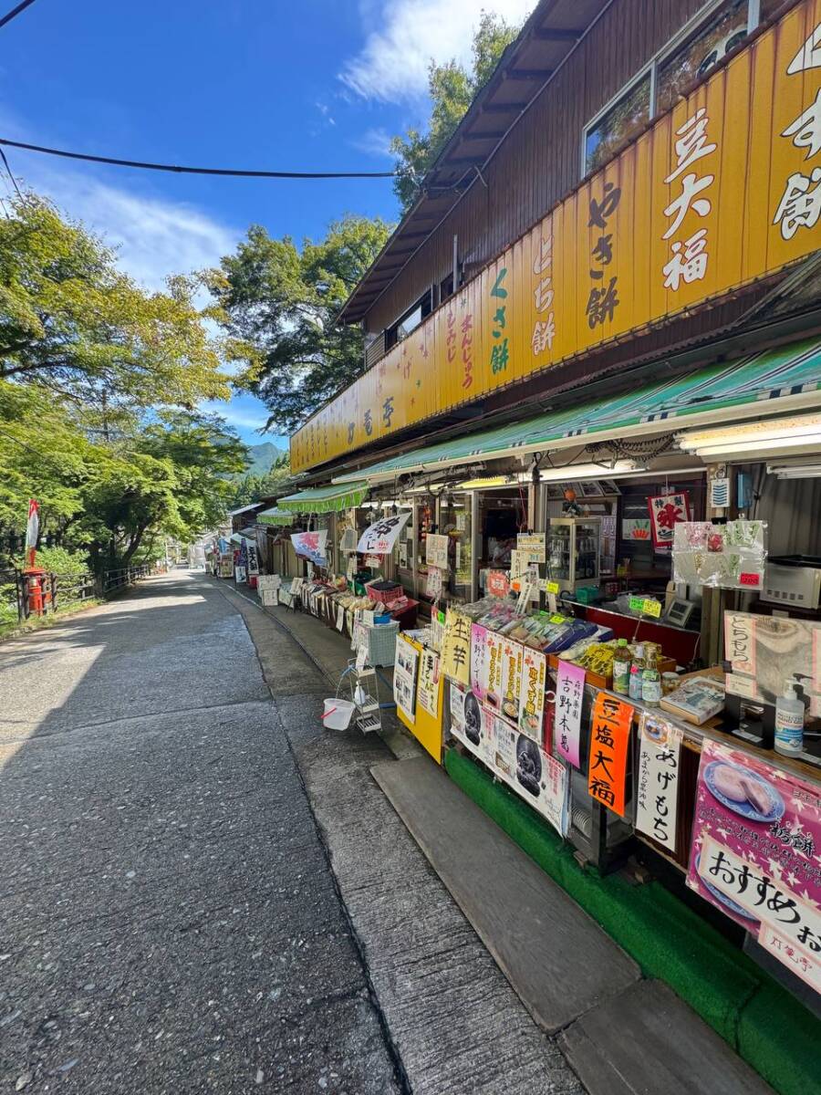 【登山活動】談山神社を北へ南へ縦走、静かなマイナールートを楽しめる