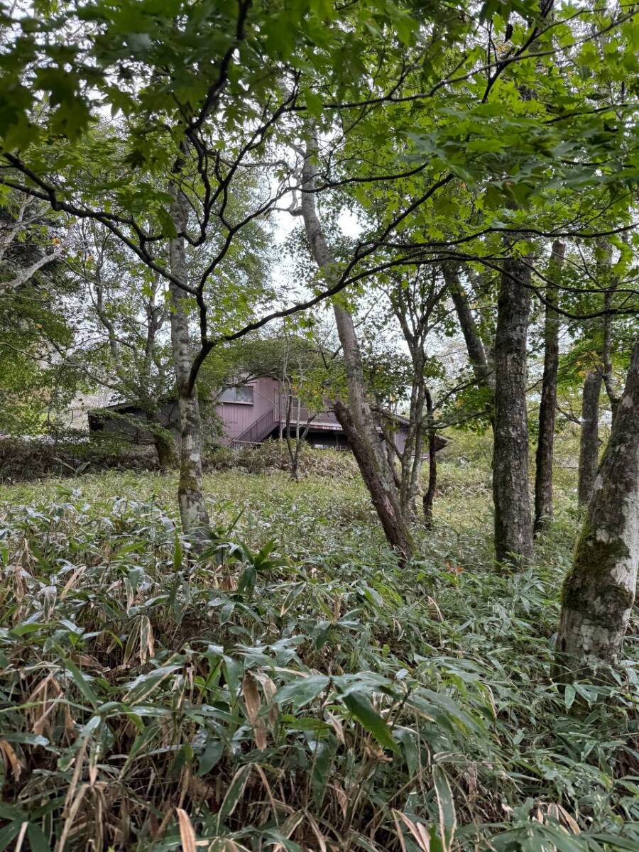 【山梨県・大菩薩嶺】初めての日本百名山としておススメ!! 富士山を見ながら絶景ハイキング