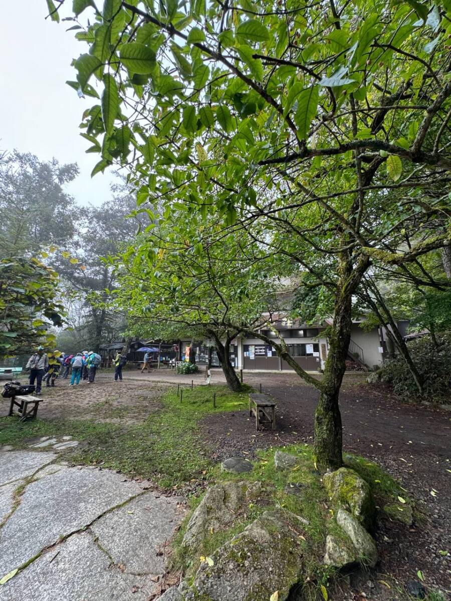 【山梨県・大菩薩嶺】初めての日本百名山としておススメ!! 富士山を見ながら絶景ハイキング