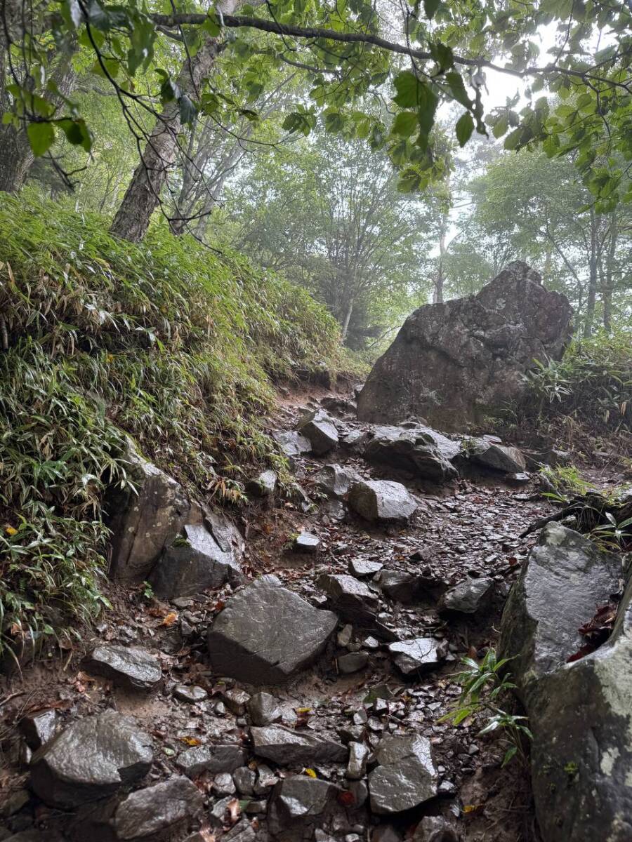 【山梨県・大菩薩嶺】初めての日本百名山としておススメ!! 富士山を見ながら絶景ハイキング