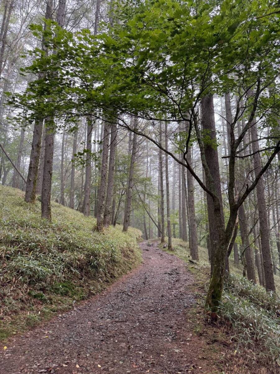 【山梨県・大菩薩嶺】初めての日本百名山としておススメ!! 富士山を見ながら絶景ハイキング