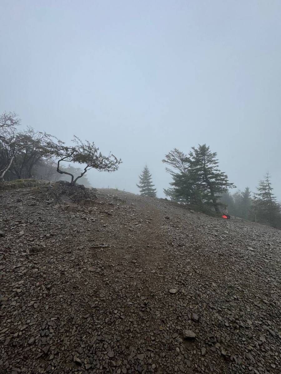 【山梨県・大菩薩嶺】初めての日本百名山としておススメ!! 富士山を見ながら絶景ハイキング