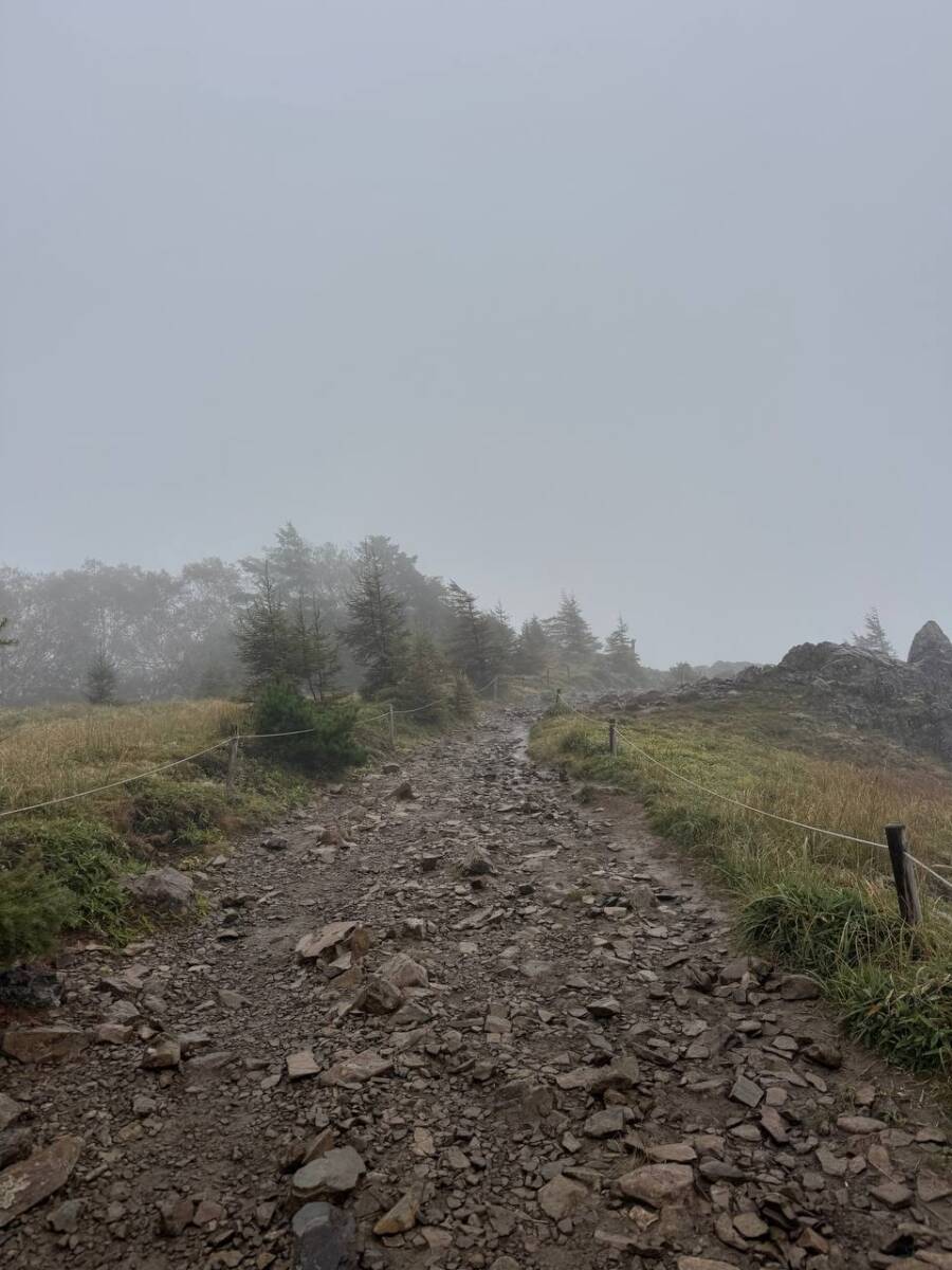 【山梨県・大菩薩嶺】初めての日本百名山としておススメ!! 富士山を見ながら絶景ハイキング