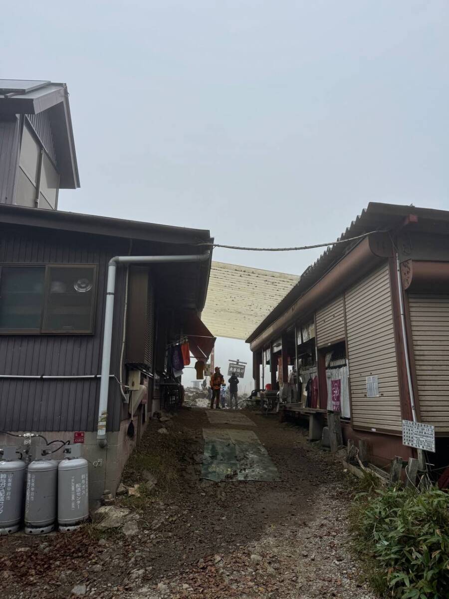 【山梨県・大菩薩嶺】初めての日本百名山としておススメ!! 富士山を見ながら絶景ハイキング