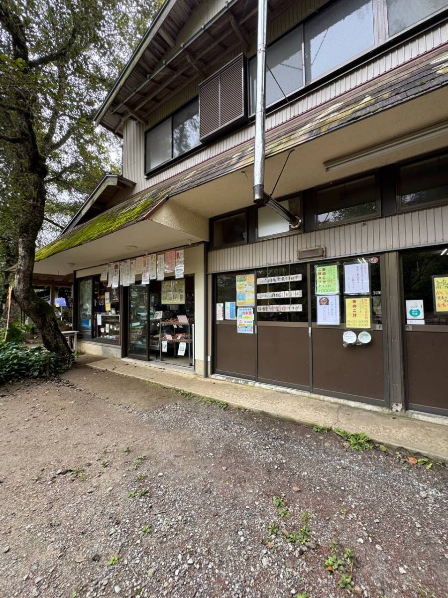 【山梨県・大菩薩嶺】初めての日本百名山としておススメ!! 富士山を見ながら絶景ハイキング