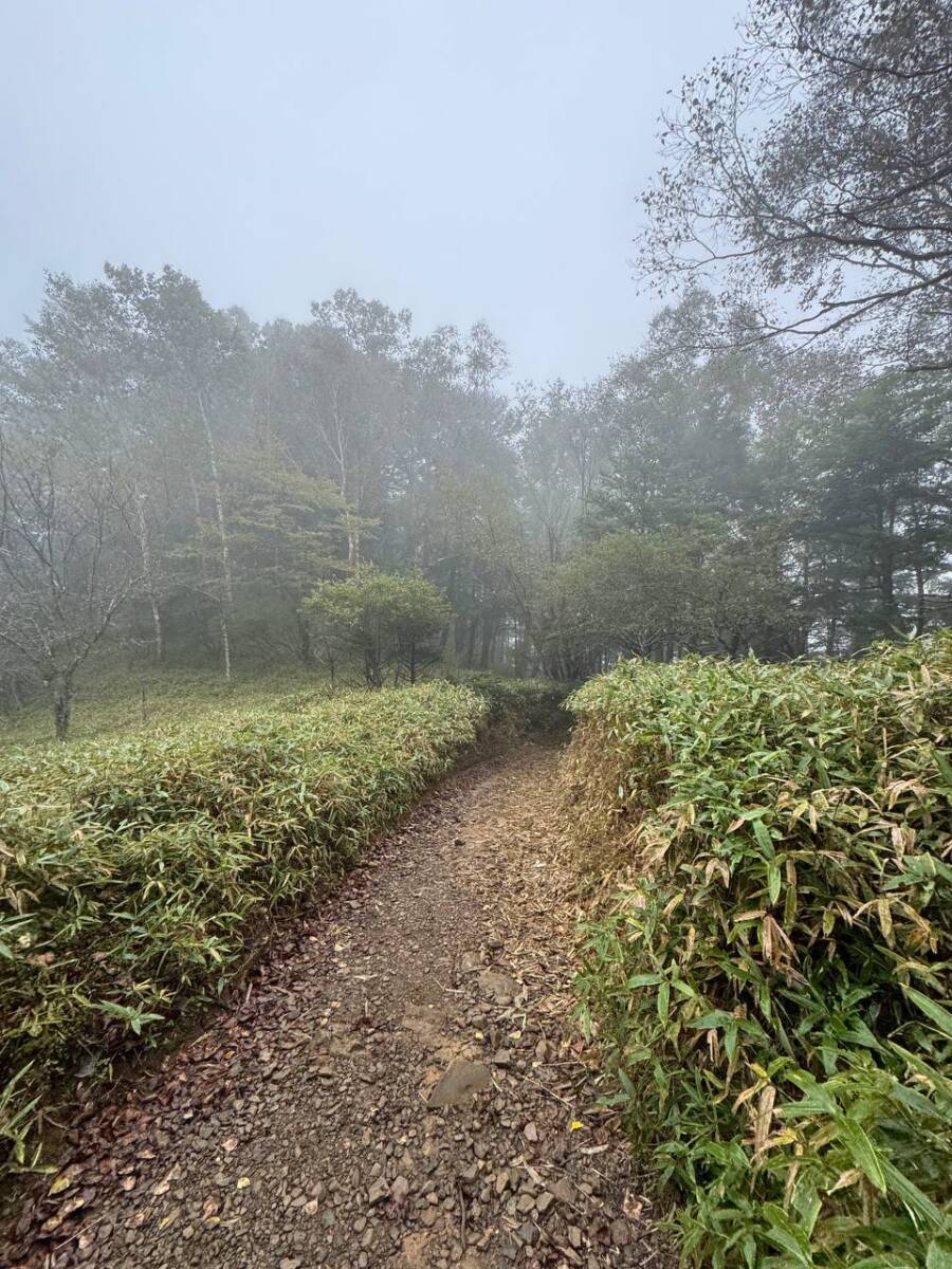 【山梨県・大菩薩嶺】初めての日本百名山としておススメ!! 富士山を見ながら絶景ハイキング