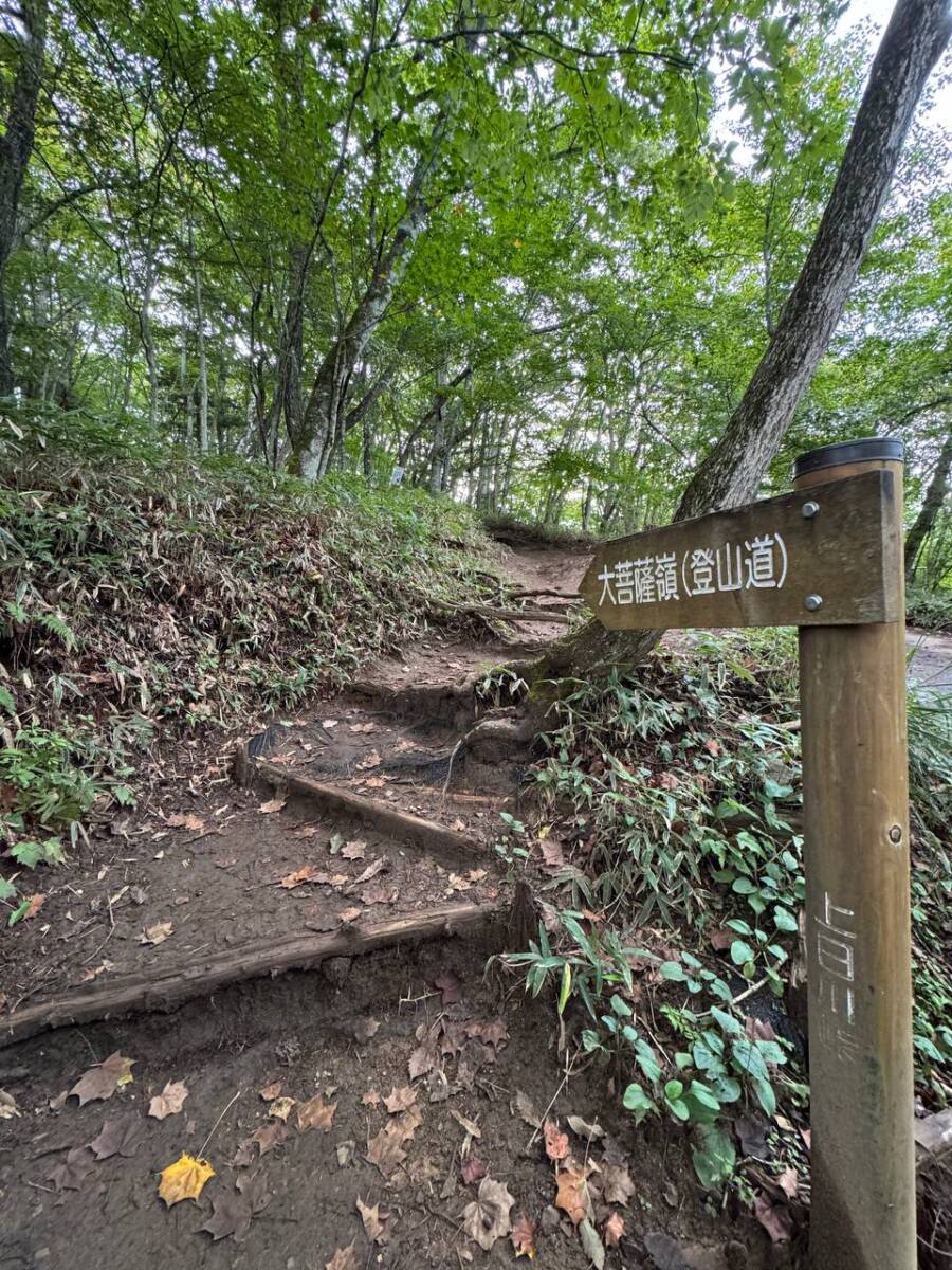 【山梨県・大菩薩嶺】初めての日本百名山としておススメ!! 富士山を見ながら絶景ハイキング