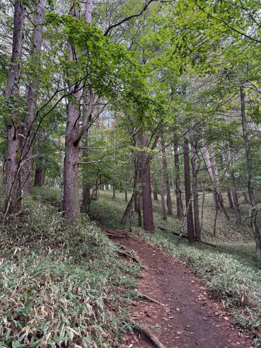 【山梨県・大菩薩嶺】初めての日本百名山としておススメ!! 富士山を見ながら絶景ハイキング