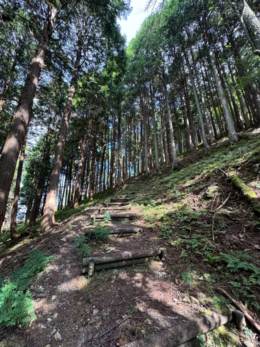 美作富士とも呼ばれる関西百名山「日名倉山」絶景広がる広大な景色