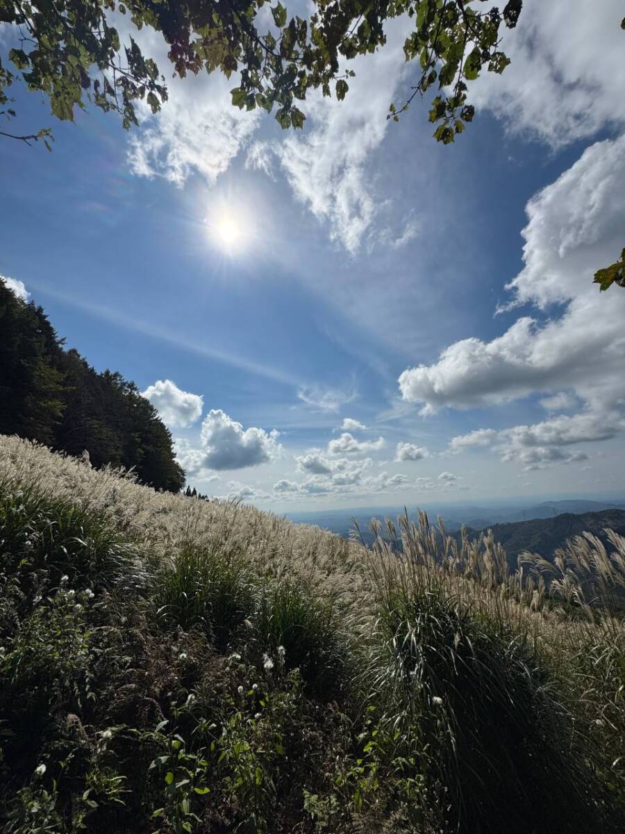 美作富士とも呼ばれる関西百名山「日名倉山」絶景広がる広大な景色