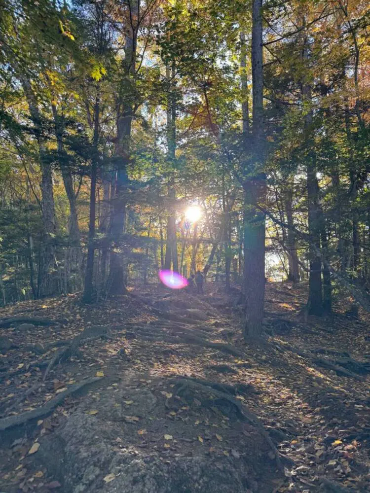花崗岩の岩峰が特異な景観を見せる日本百名山「瑞牆山」に登りました