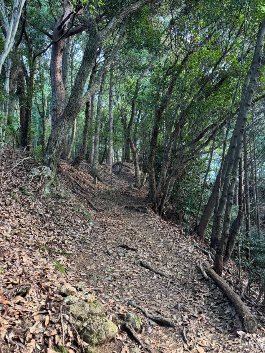 大人気で面白い名前の山「ポンポン山」は歩きやすく登山初心者にオススメ