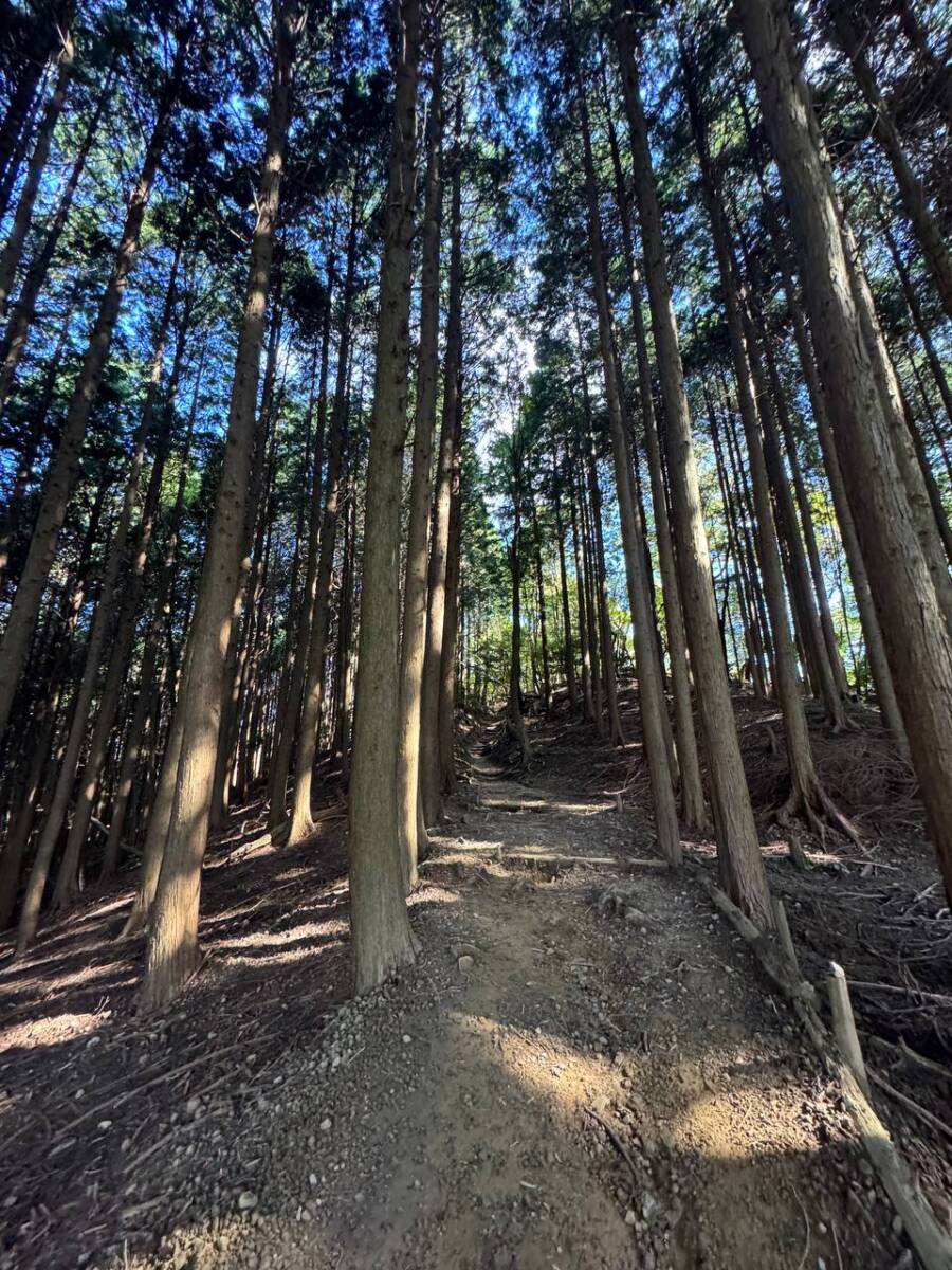 大人気で面白い名前の山「ポンポン山」は歩きやすく登山初心者にオススメ