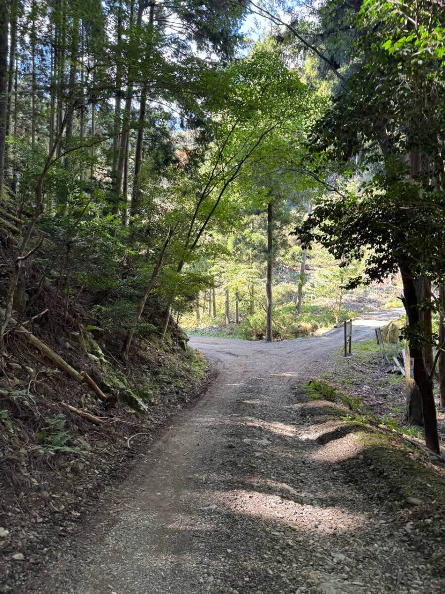 大人気で面白い名前の山「ポンポン山」は歩きやすく登山初心者にオススメ